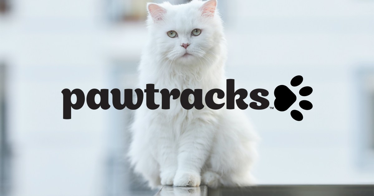 Apie mus |  1 |  PawTracks