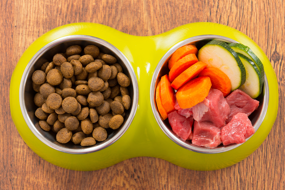 are home cooked meals good for dogs