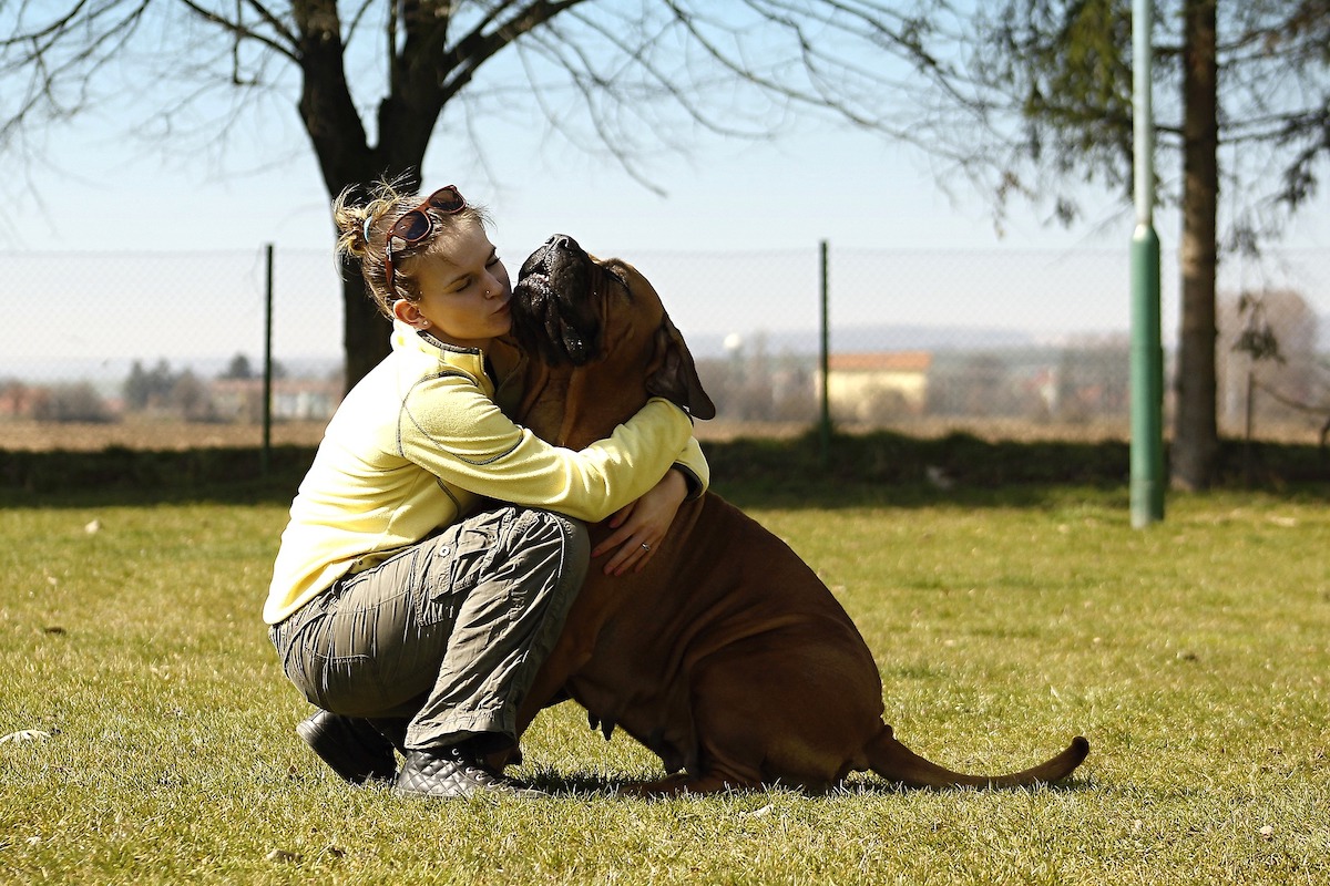 Girl hugs a big dog in a field