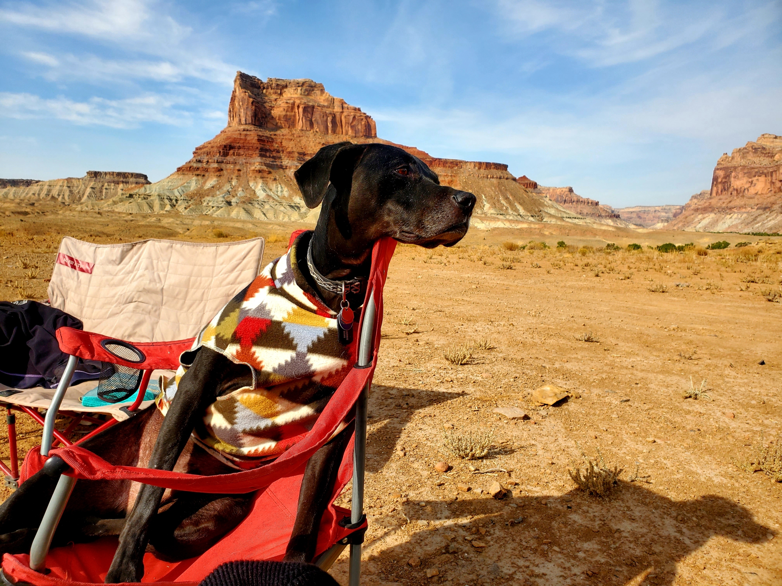 A black labrador/Dane/pit mutt in a multi-colored geometric-patterned sweater sits in a red lawn chair in the desert, under a bl