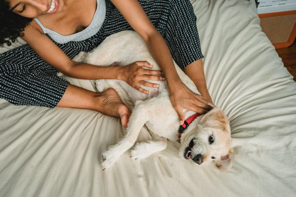 Dog playing on a bed with his human mom