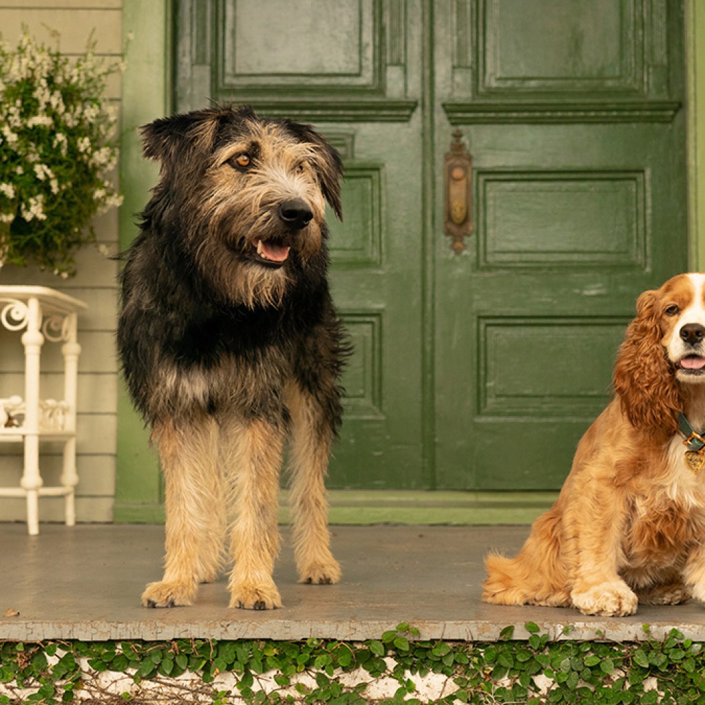actor dogs Lady and Tramp sitting in front of doordogs Ladl