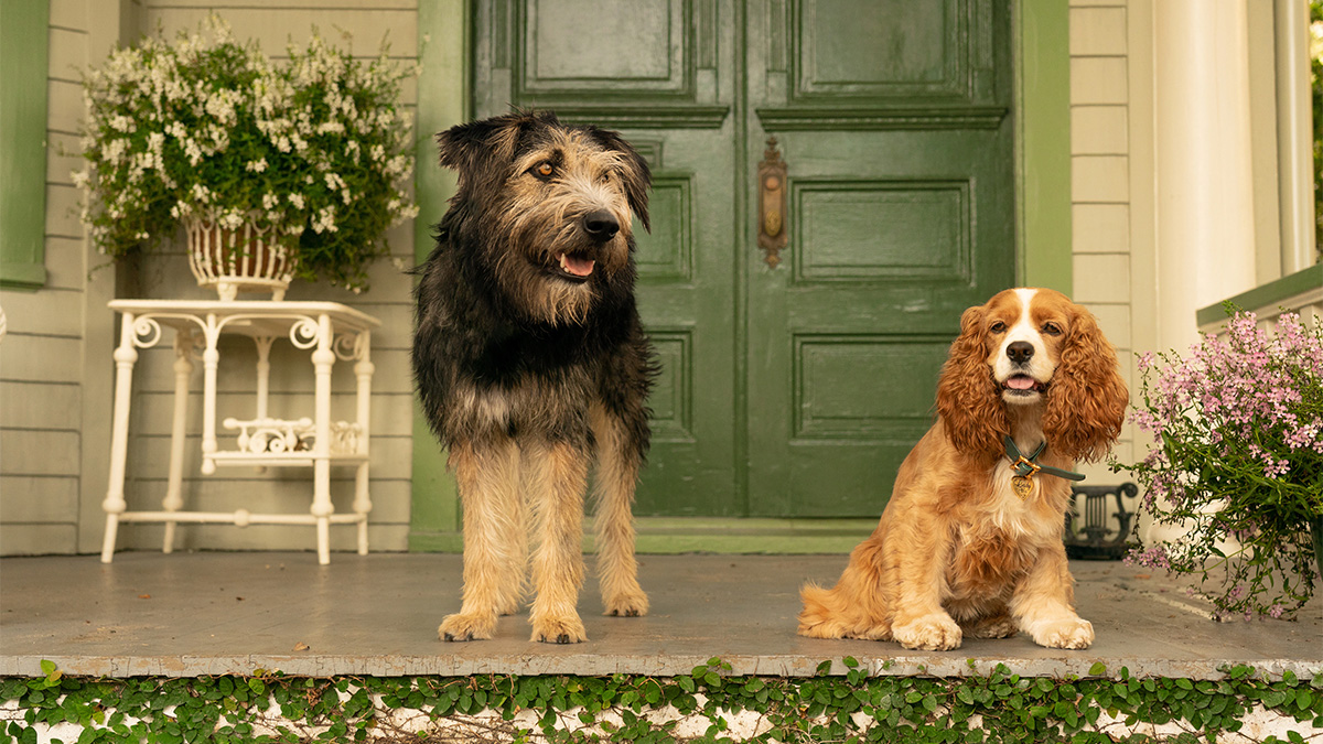 actor dogs Lady and Tramp sitting in front of doordogs Ladl