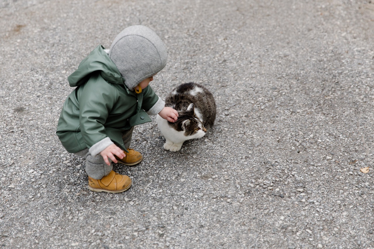 Toddler wearing rain coat petting a tabby cat.