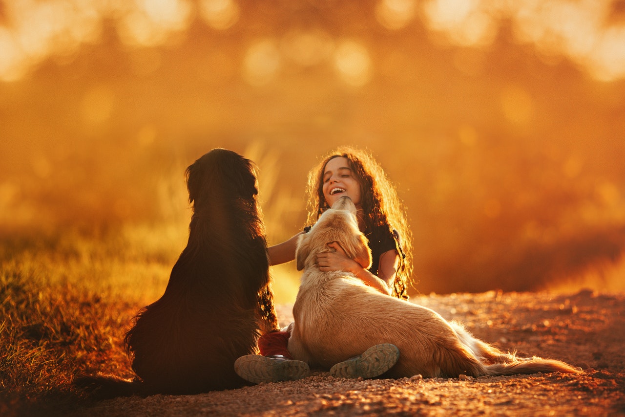 A young girl playing with two dogs.