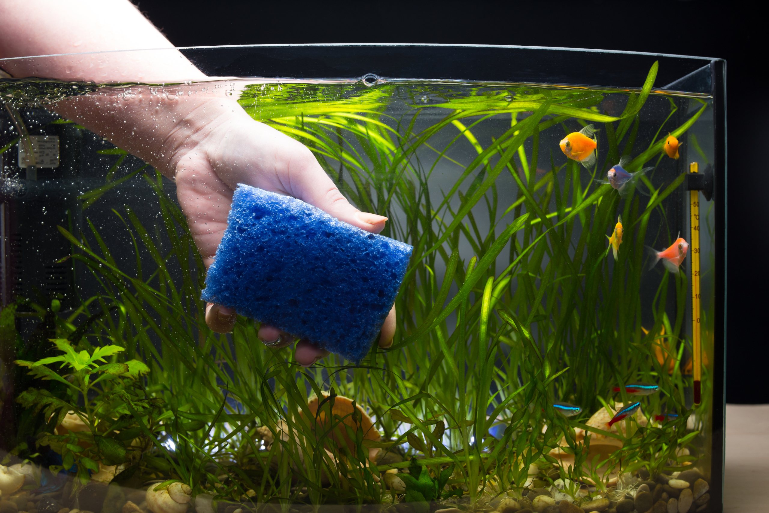 Hand cleaning tank with sponge