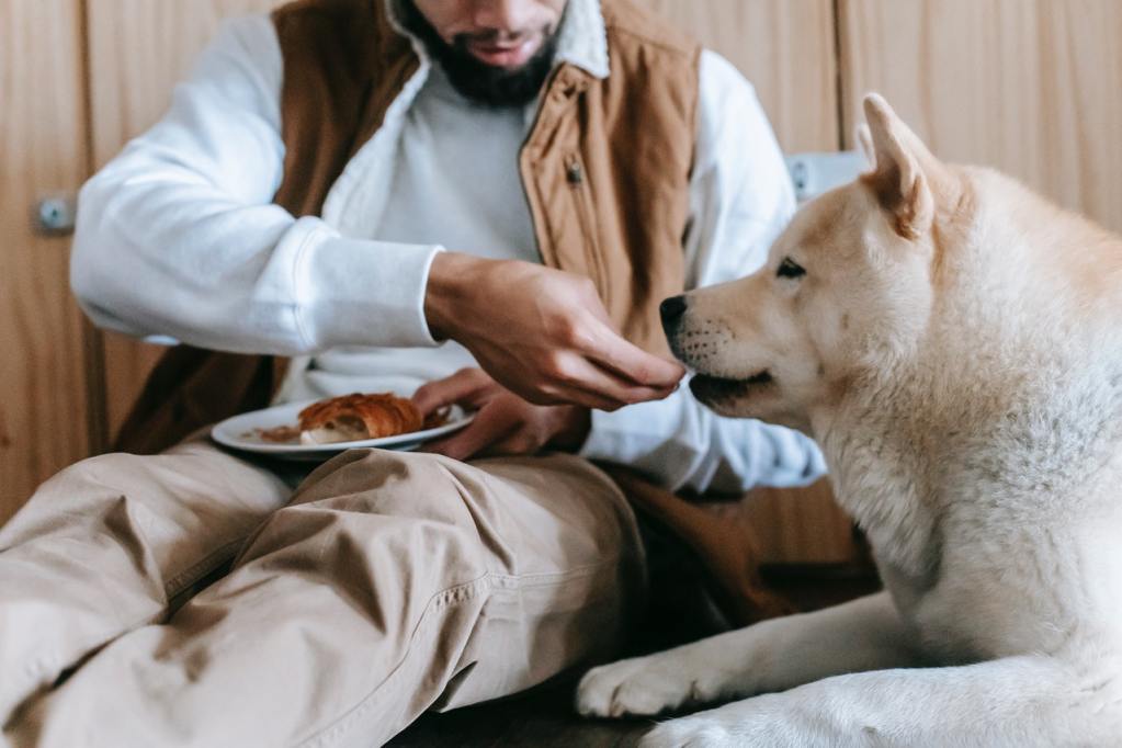 Man feeding a beige dog while sitting on the floor.