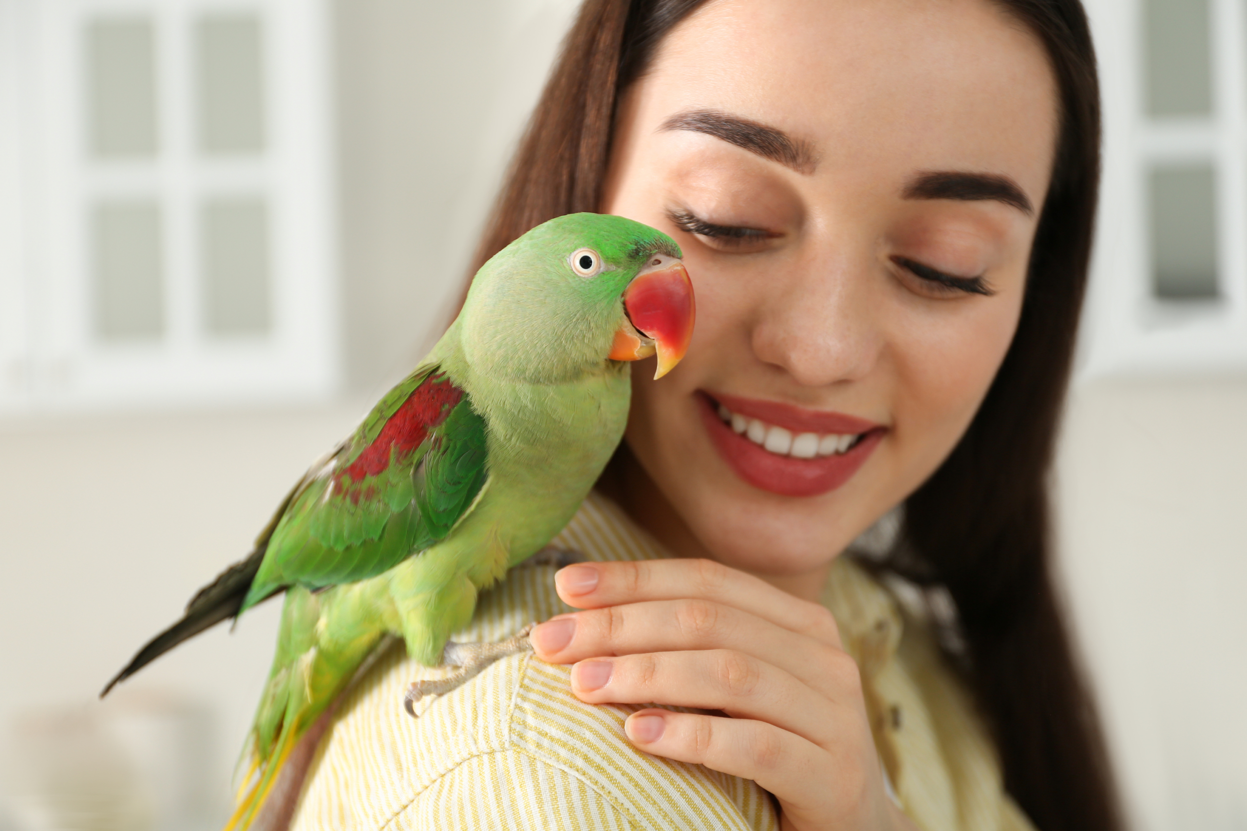 Parrot sits on woman's shoulder