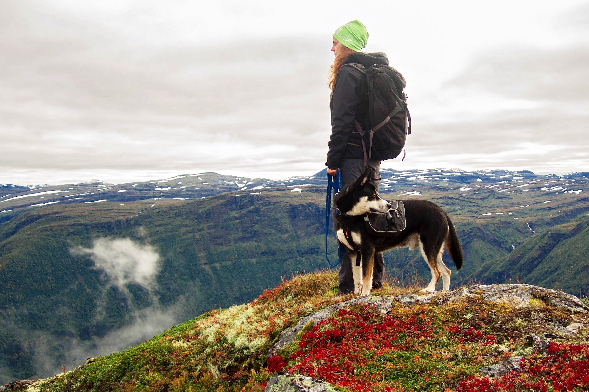 a person stands with a siberian husky on the top of a mountain, overlooking other mountains
