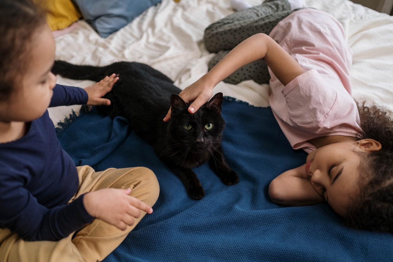 Two young girls with a black cat.