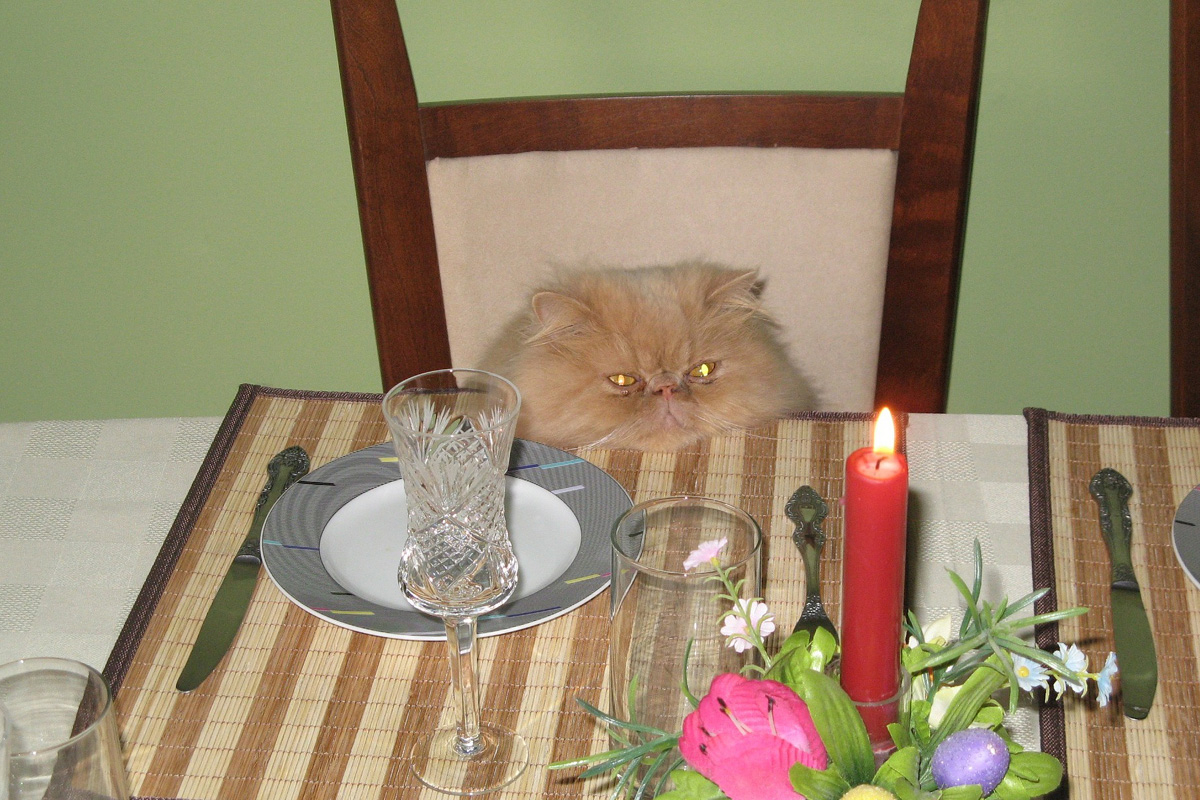 Cat looking at candle on table.