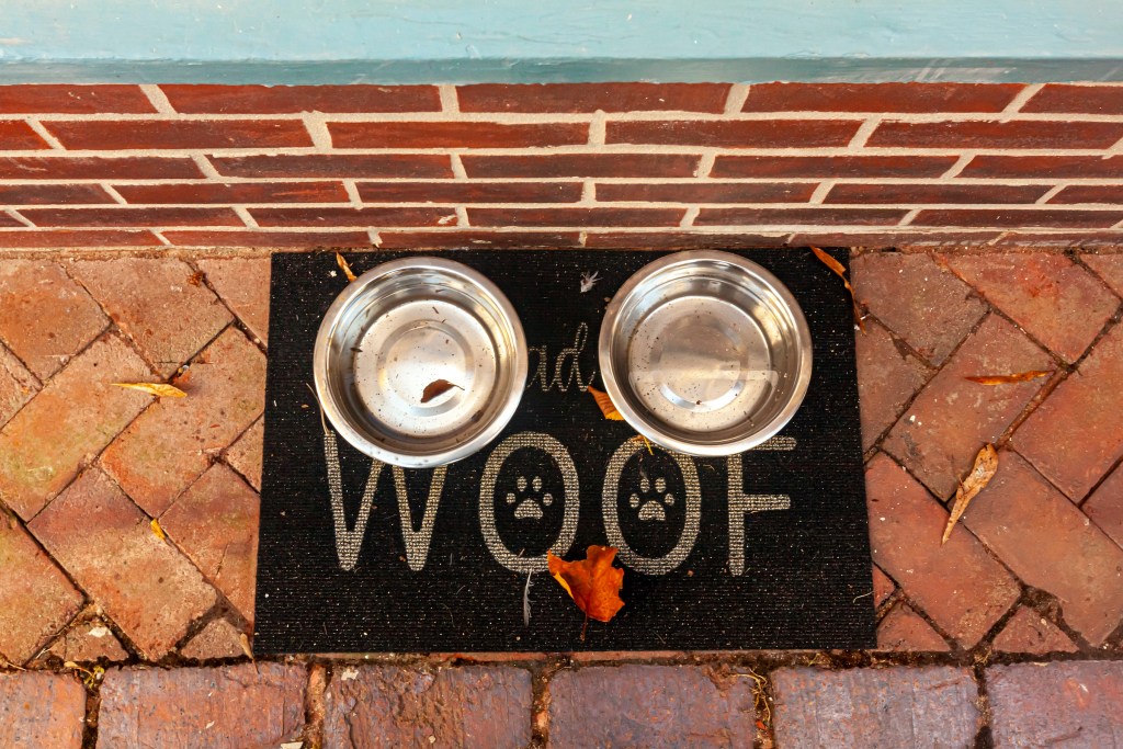 Two metal dog bowls sit on a black mat that says "woof" in white letters