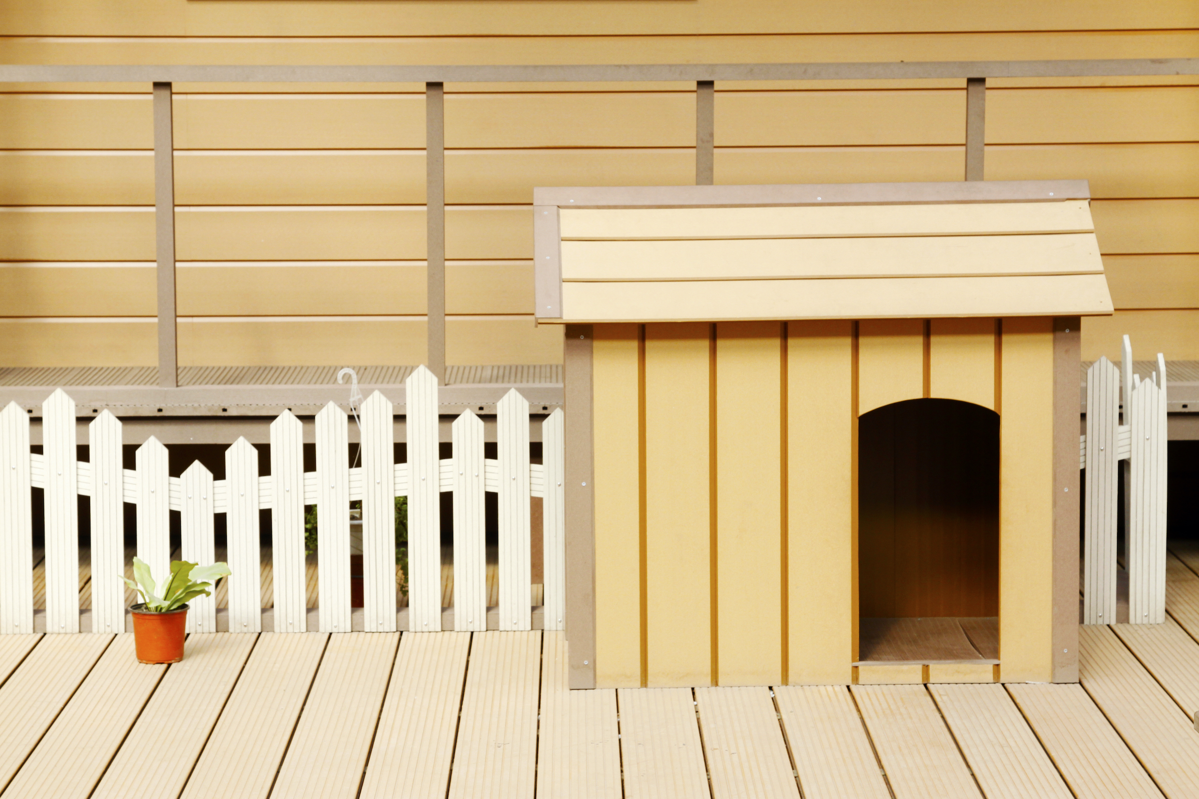 Here's How To Tell The Right Size Dog House For Your Pet PawTracks