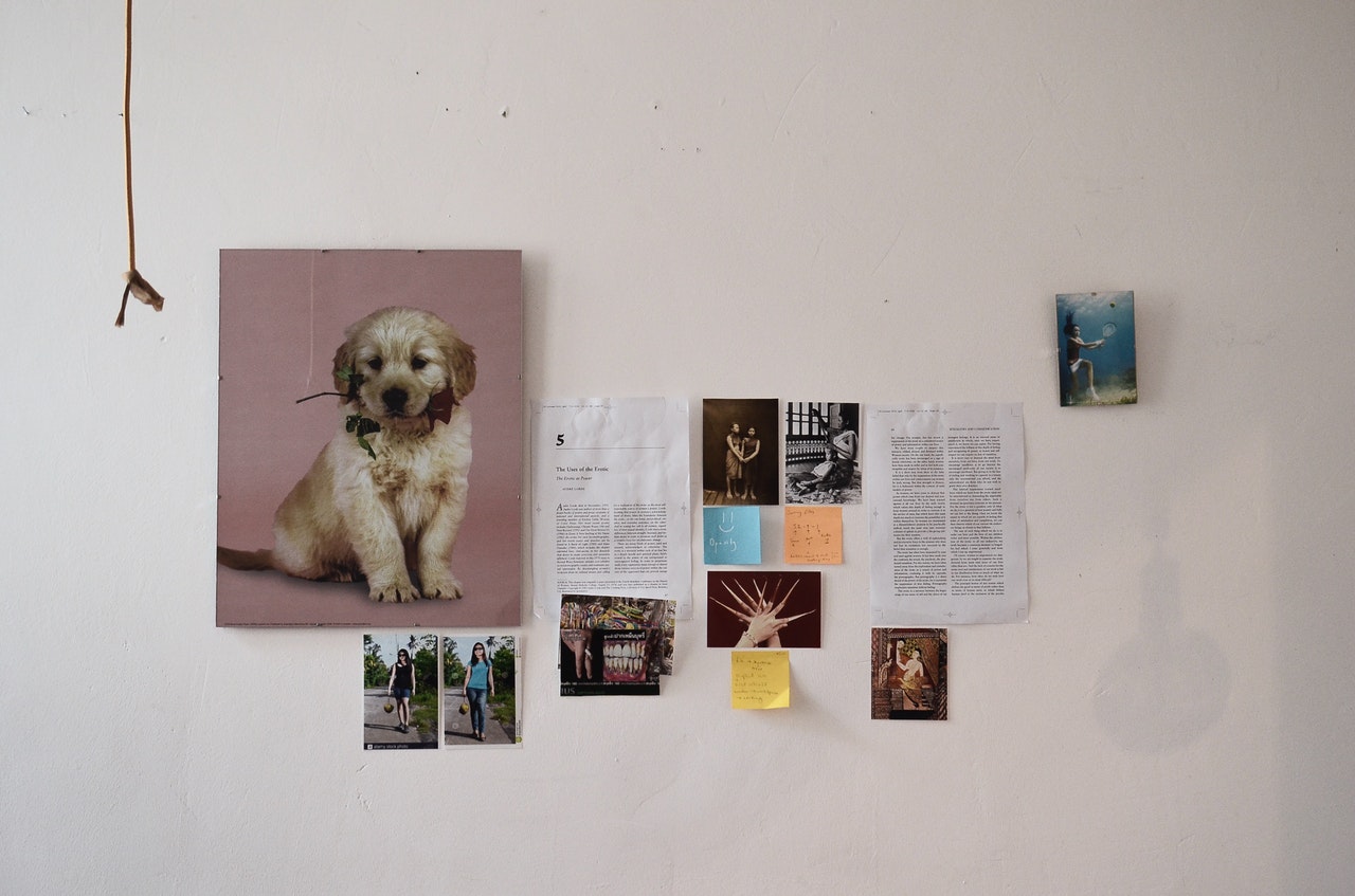 A dog portrait displayed on a wall with other artwork.