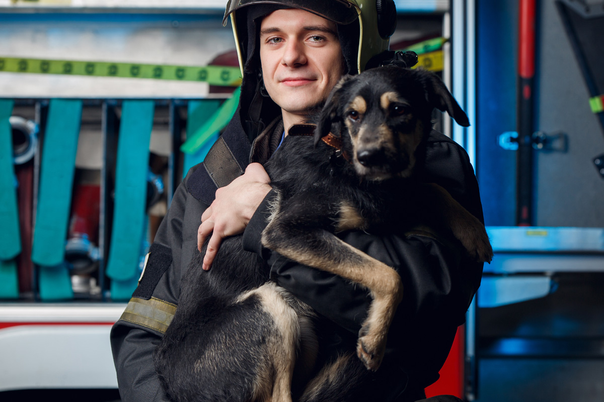 Firefighter rescuing dog.