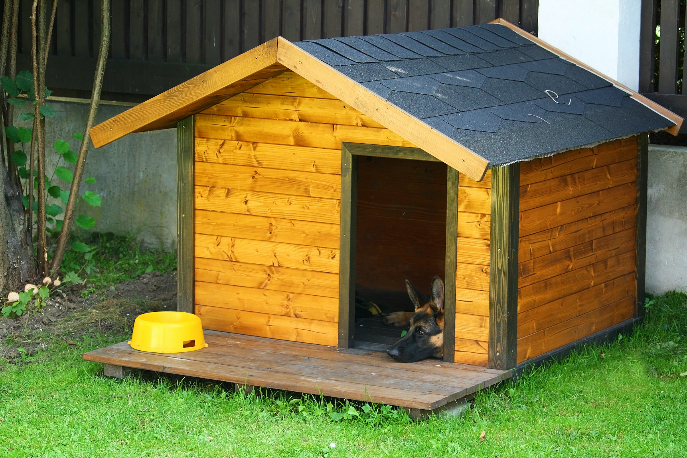 a german shepard lies in his wooden, traditional-style dog house