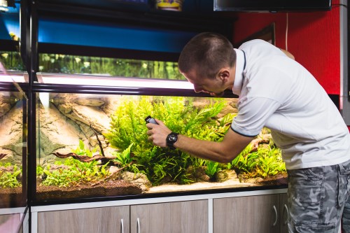 Man cleans aquarium with fish