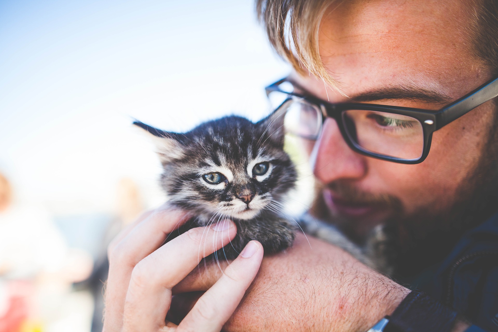 Man holding a young kitten
