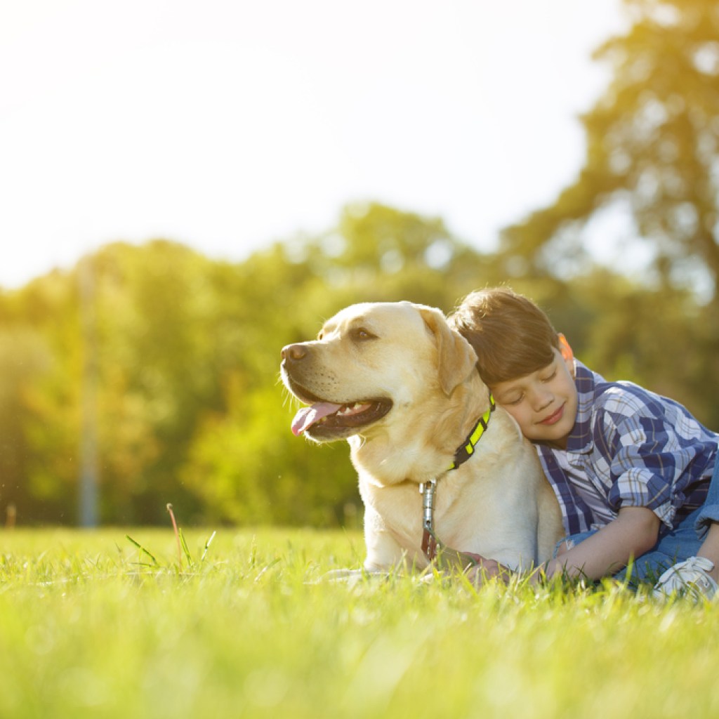 a boy and his dog on the lawn