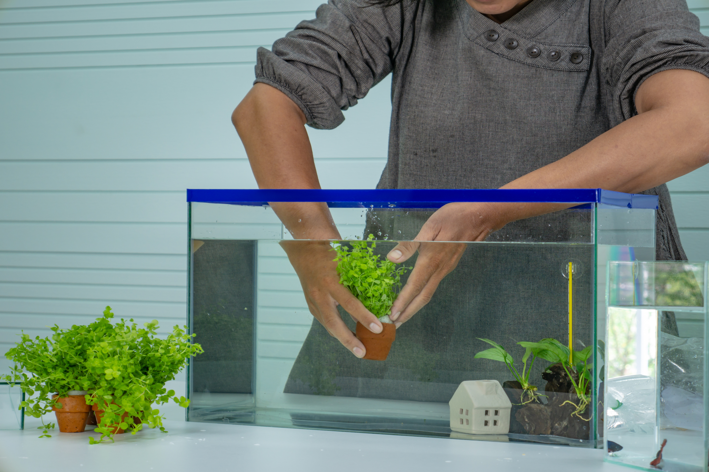 10 DIY Fish Tank Décor Plans You Can Make Today (With Pictures) | Pet Keen
