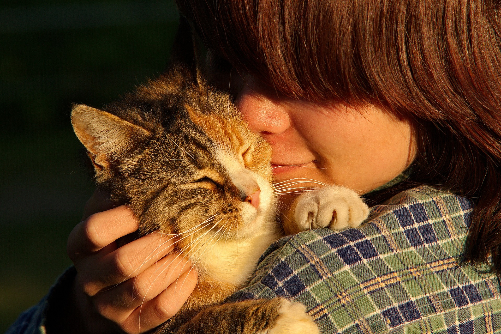 Woman holding a cat against her shoulder in a sunset