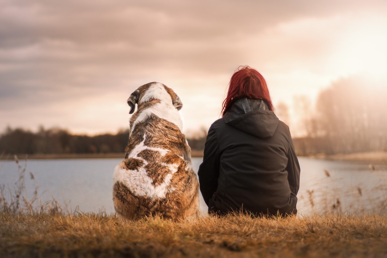 A brown and white dog watching a sunset beside a red haired woman.
