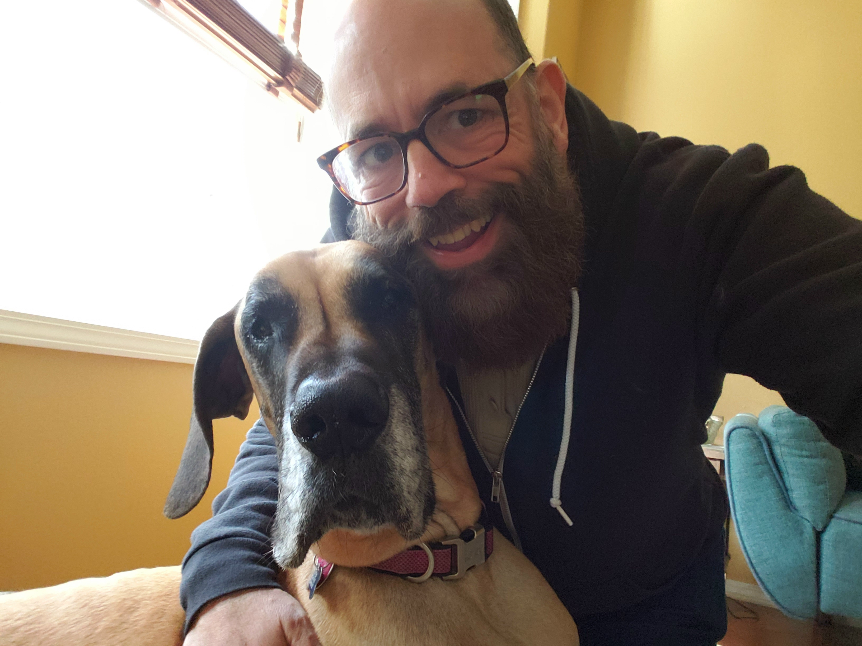 pet profile bethany great dane dog selfie man beard smile