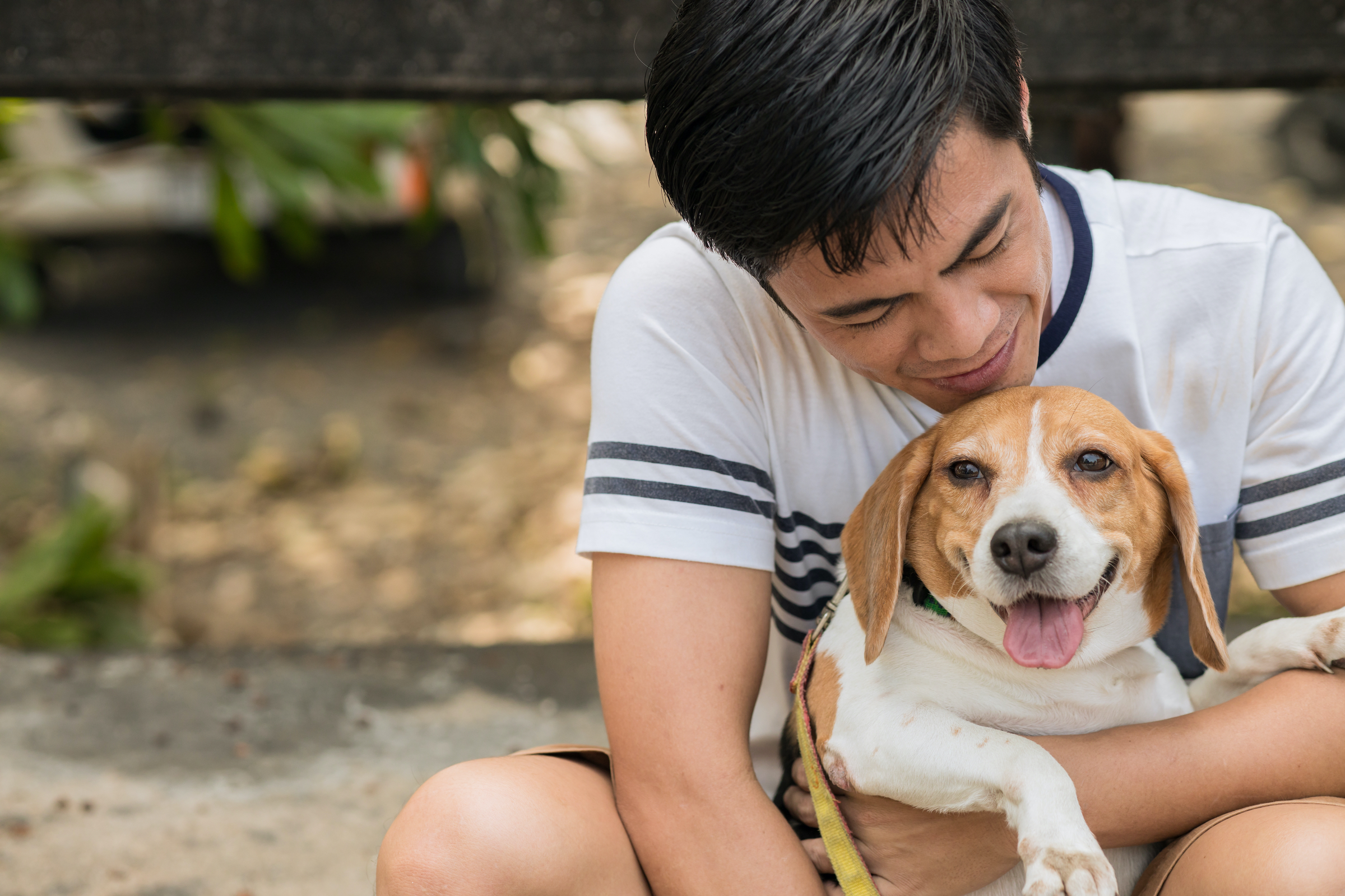 A man hugs and pets his beagle somewhere outside