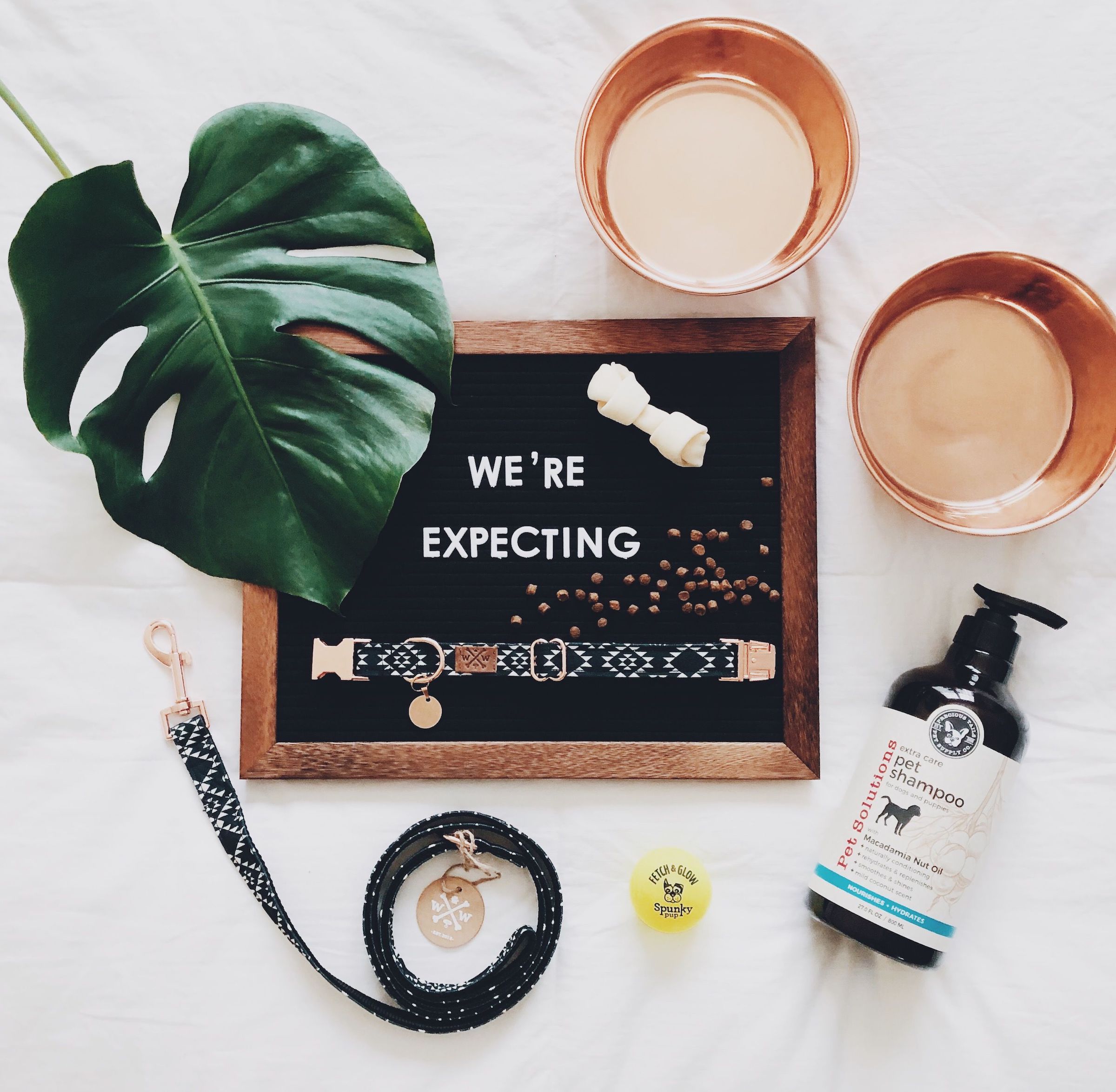 a flatlay photo of a letter board saying "we're expecting" surrounded by a dog leash, dog bowls, a bone toy, and a palm leaf