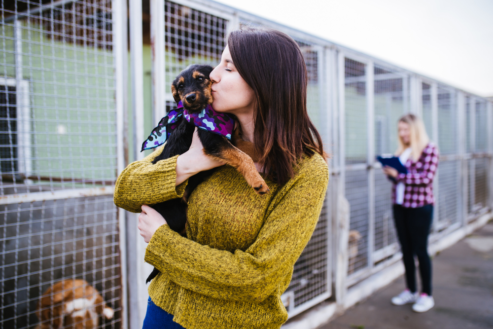 A woman in a yellow sweater holding a puppy in a shelter.