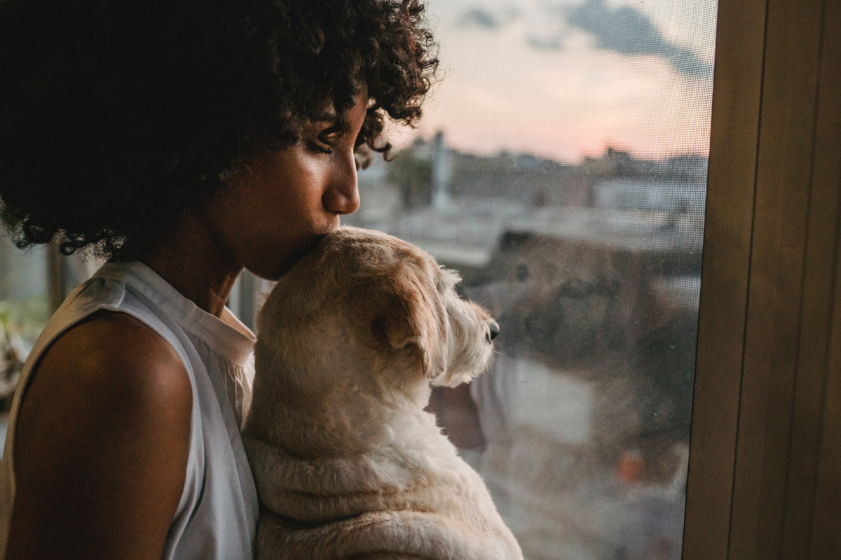 How to take care of a sales dog in heat