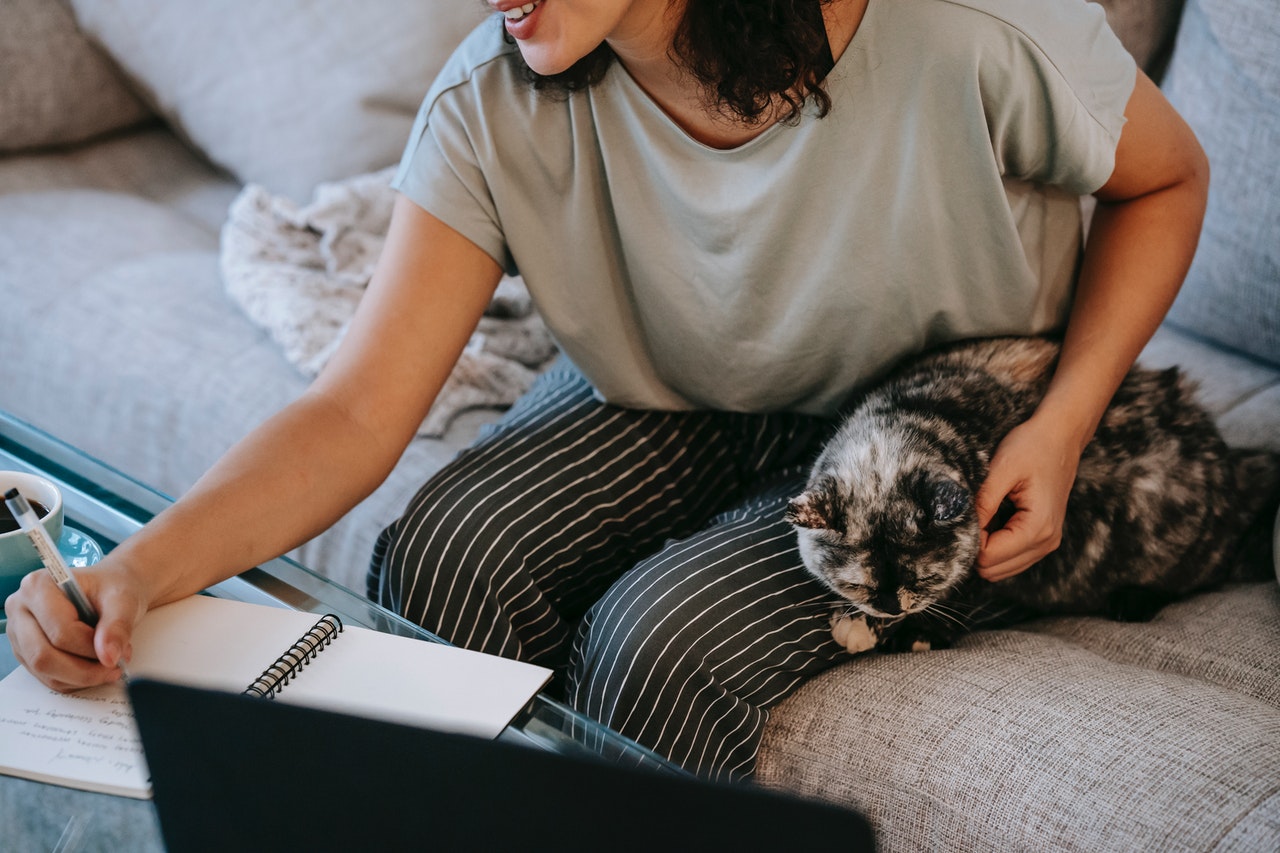 A woman working on the sofa while holding a calico cat.