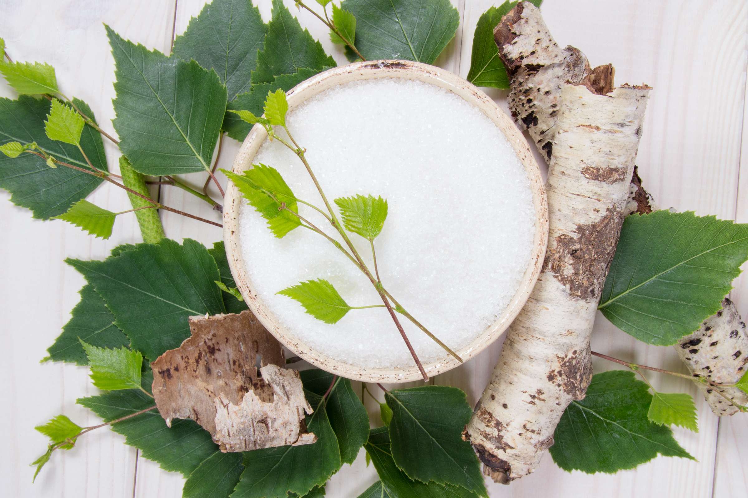 a bowl of white sugar-like xylitol sits in the middle of a spread of green leaves, next to pieces of birch wood