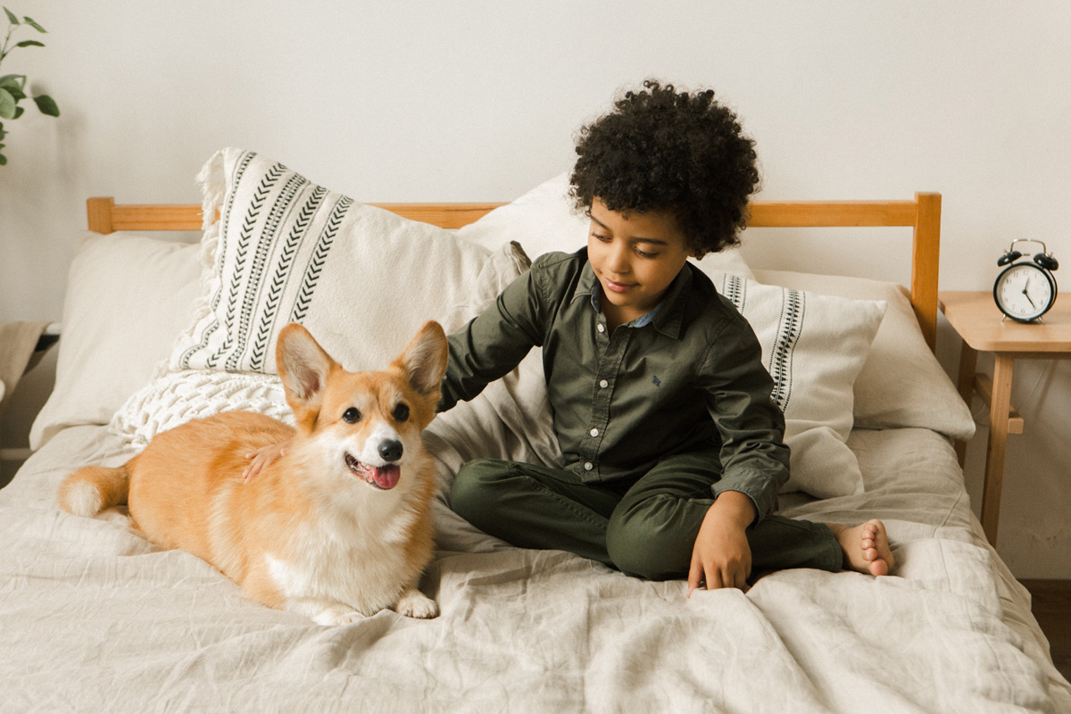 young boy petting dog on bed