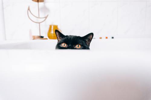 A black cat hiding in a bathtub.
