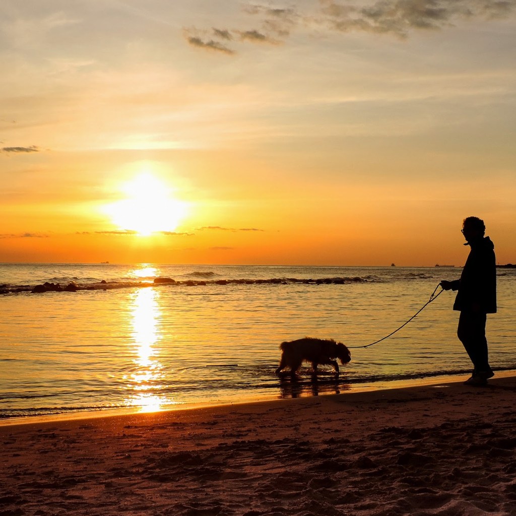 Adult walking a dog on a beach at sunset