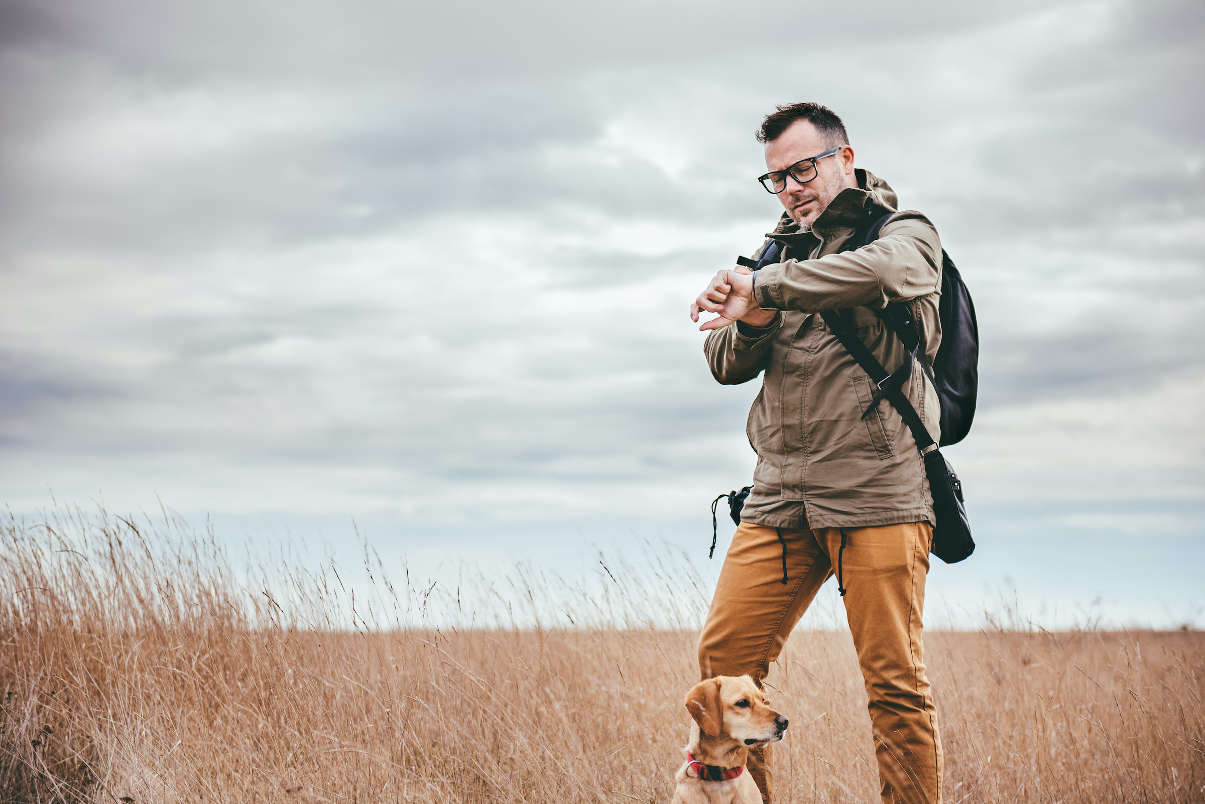 a man standing in tall tan grass with his dog stops to check his smart watch