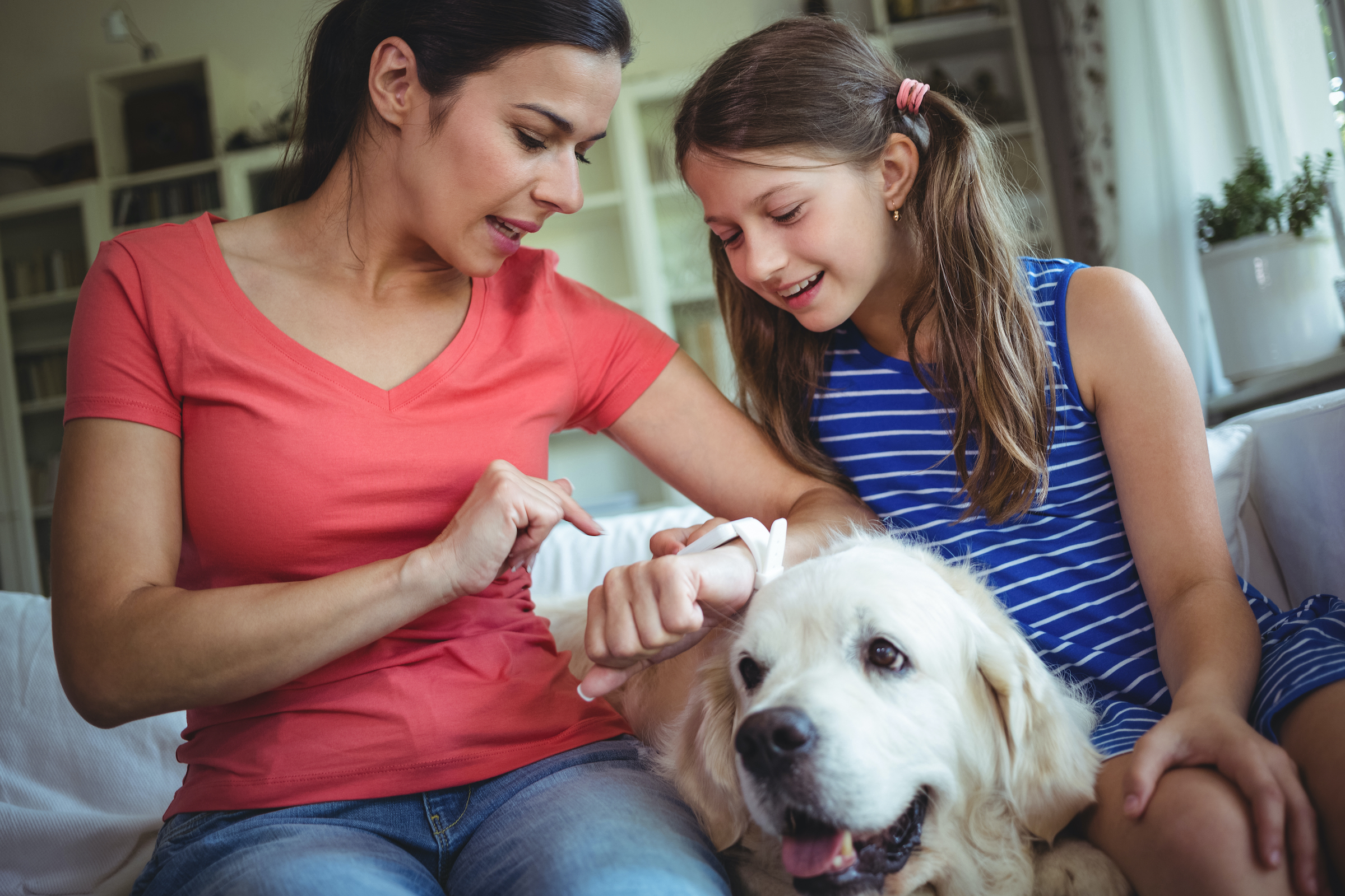 4 Apple Watch Apps Every Dog Owner Should Have PawTracks