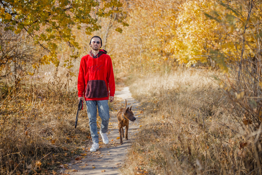 red jacket and brown dog on hike