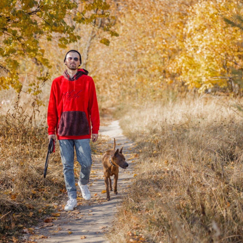 red jacket and brown dog on hike