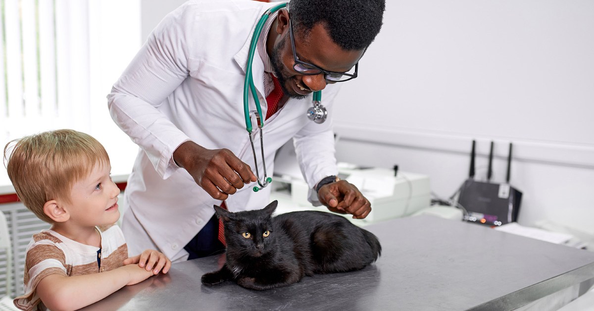 Kaip rasti tinkamą veterinarijos gydytoją savo augintiniui