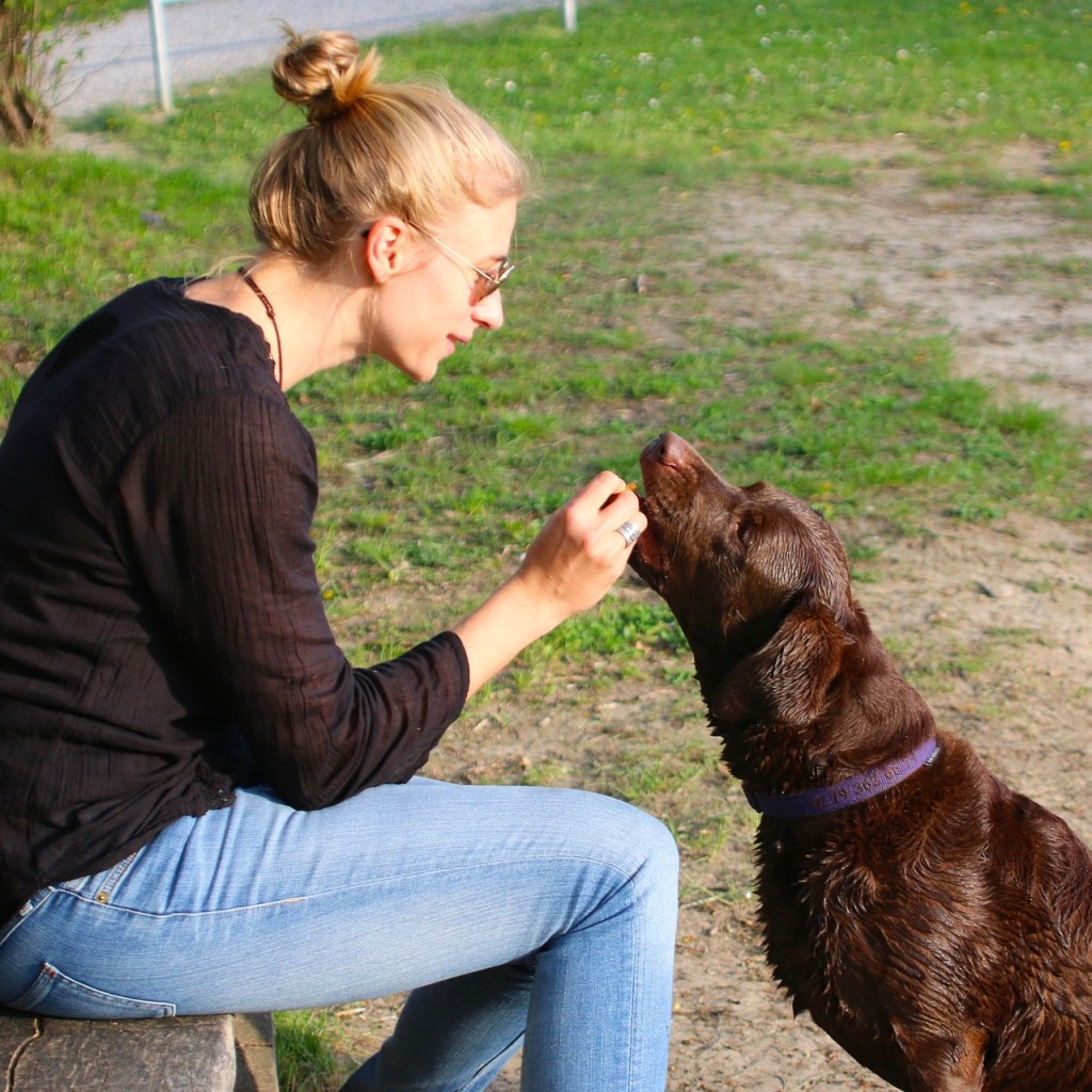 Woman sitting on a bench and giving a dog a treat