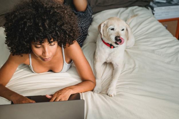 A beige dog licking his lips beside a woman working on a laptop
