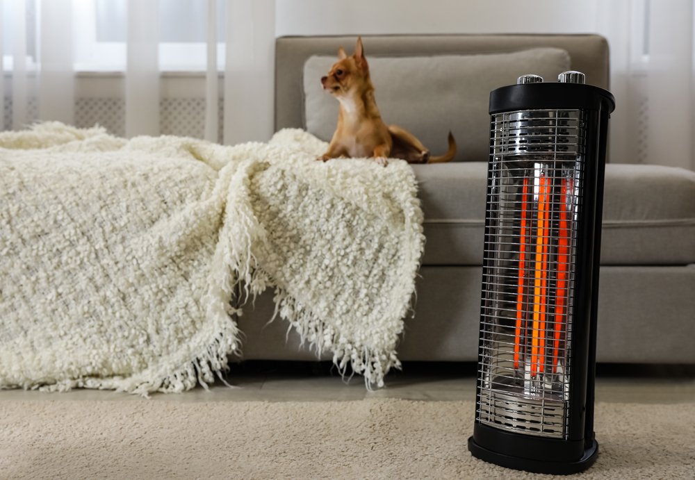 A brown Chihuahua lying on a sofa next to a space heater.