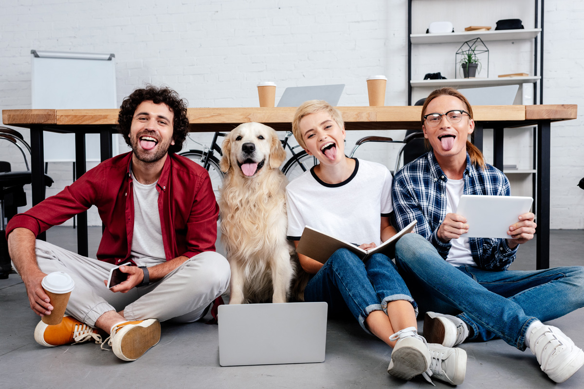 Co-workers having fun in the office with a dog.