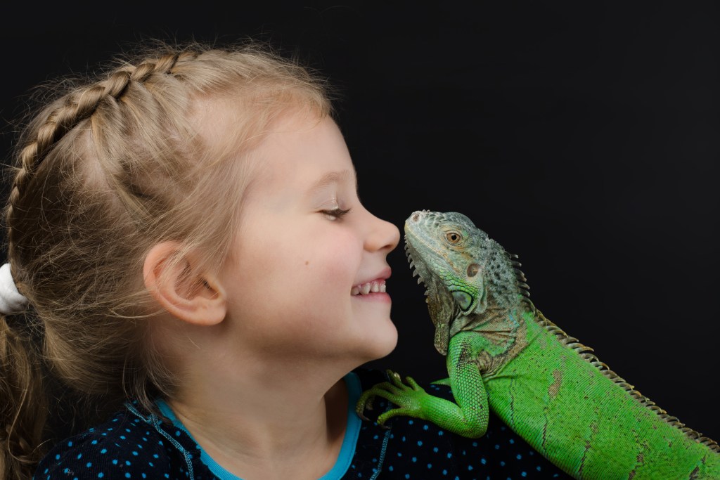 Little girl holds her pet iguana