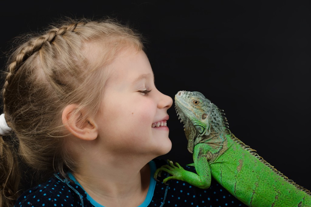 Maža mergaitė laiko savo augintinę iguaną