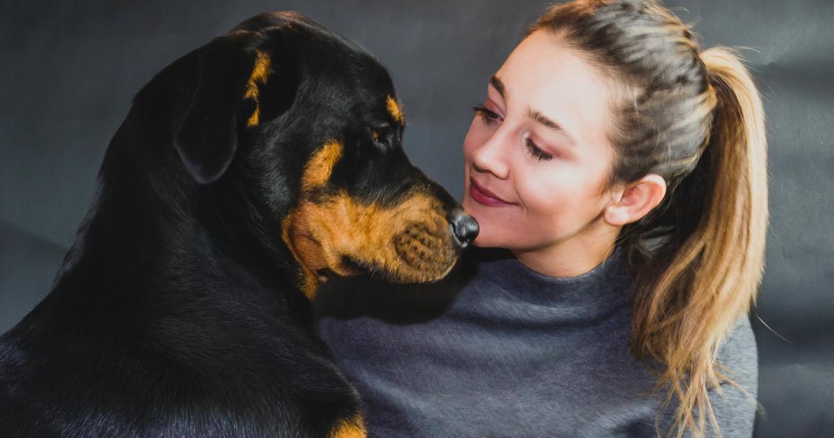 Kaip pasirinkti tinkamą šunų guolį savo rotveileriui