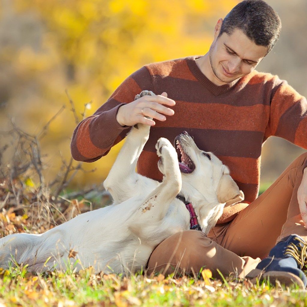 Man playing with a dog.