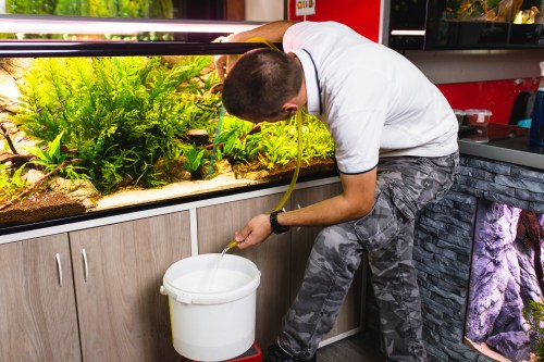 Man performs a water change in his aquarium by syphoning